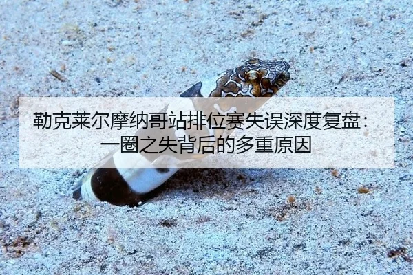 lei-ke-lai-er-mo-na-ge-zhan-pai-wei-sai-shi-wu-shen-du-fu-pan-yi-quan-zhi-shi-bei-hou-de-duo-zhong-yuan-yin-2-214.jpg