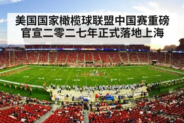 NFL stadium crowd